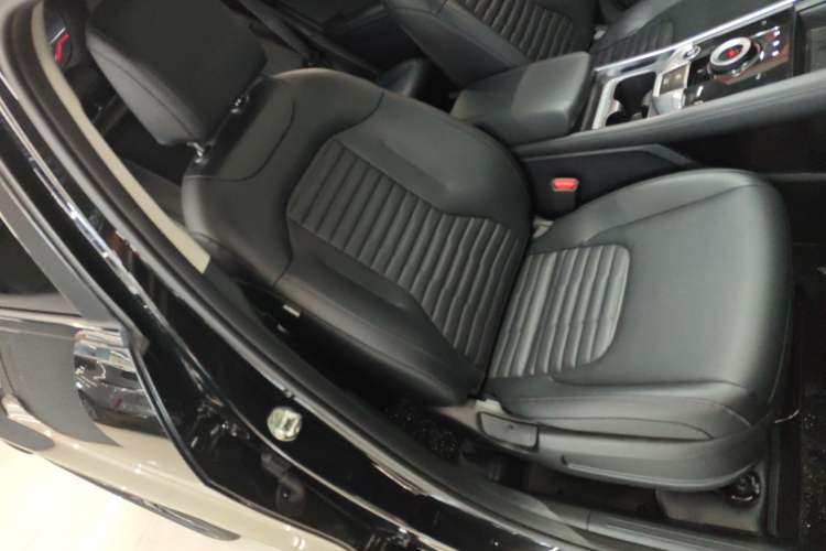 Used Kia Sportage (Chinese Domestic Model) 2023 2.0T Two-Wheel-Drive Prestige Edition Right Front Seat