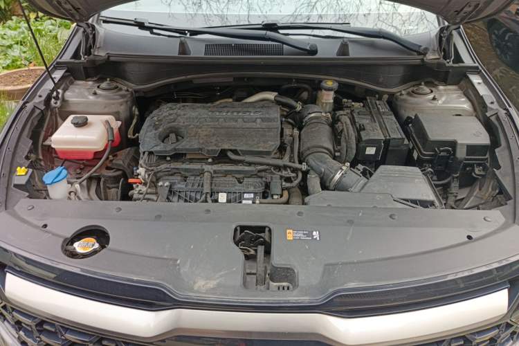 Used Kia Sportage (Chinese Domestic Model) 2023 2.0T Two-Wheel-Drive Prestige Edition Engine Bay