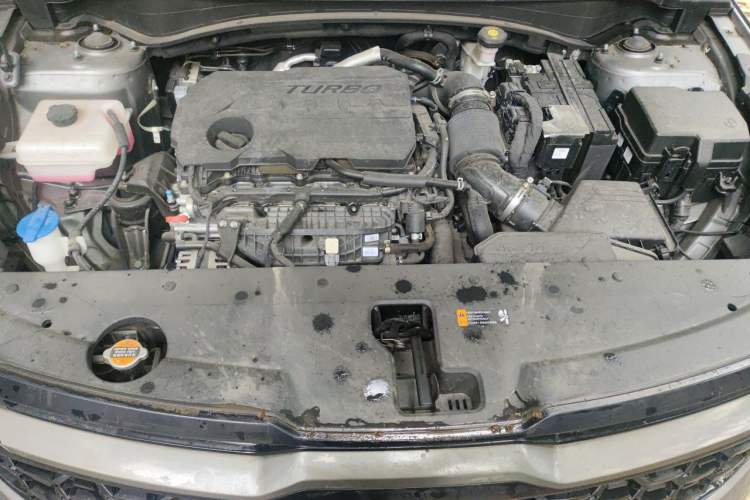 Used Kia Sportage (Chinese Domestic Model) 2023 2.0T Two-Wheel Drive Flagship Edition Engine Bay