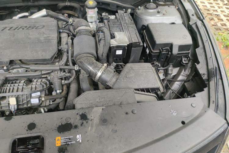 Used Kia Sportage (Chinese Domestic Model) 2023 2.0T Two-Wheel Drive Flagship Edition Engine Bay Left