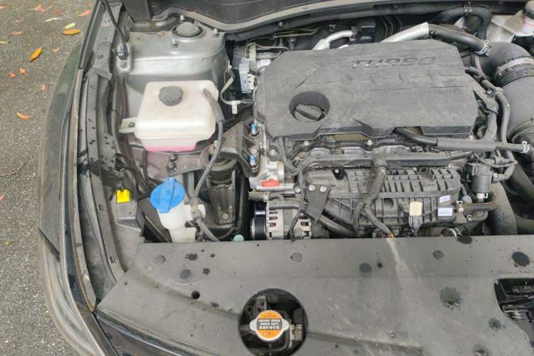 Used Kia Sportage (Chinese Domestic Model) 2023 2.0T Two-Wheel Drive Flagship Edition Engine Bay Right