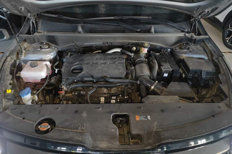 Used Kia Sportage (Chinese Domestic Model) 2023 2.0T Two-Wheel-Drive Prestige Edition Engine Bay