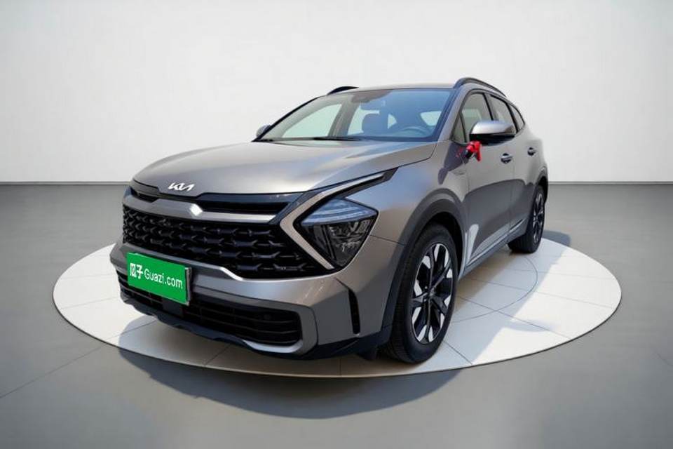 Kia Sportage (Chinese Domestic Model) 2023