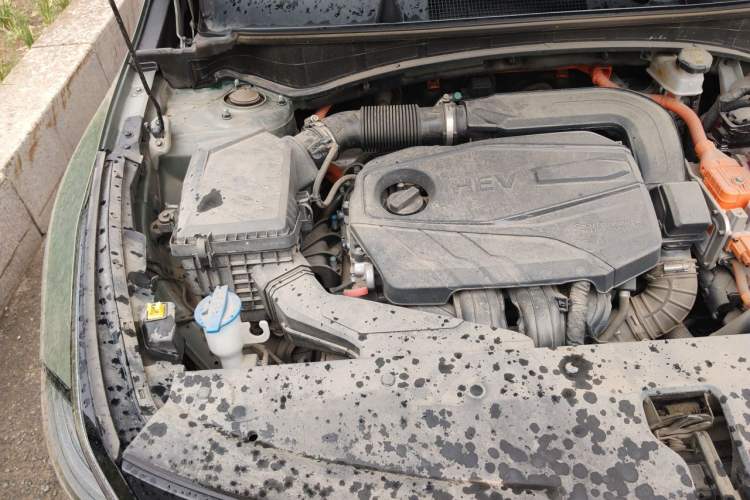 Used Kia Sportage (Chinese Domestic Model) 2023 2.0L HEV Two-Wheel Drive Flagship Edition Engine Bay Right