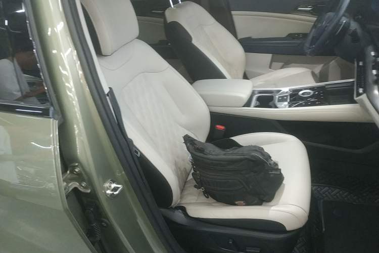 Used Kia Sportage (Chinese Domestic Model) 2023 2.0L HEV Two-Wheel Drive Flagship Edition Right Front Seat