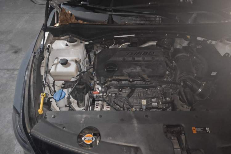 Used Kia Sportage (Chinese Domestic Model) 2023 2.0T Four-Wheel Drive Premium Edition Engine Bay Right