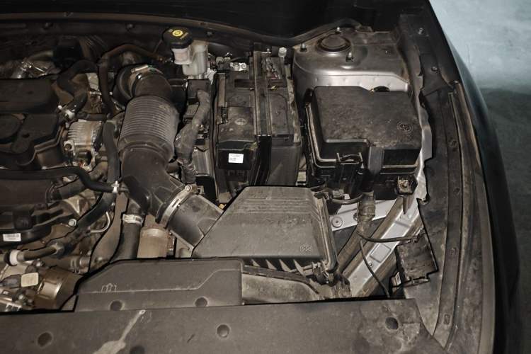 Used Kia Sportage (Chinese Domestic Model) 2023 1.5T Two-Wheel Drive Prestige Edition Engine Bay Left