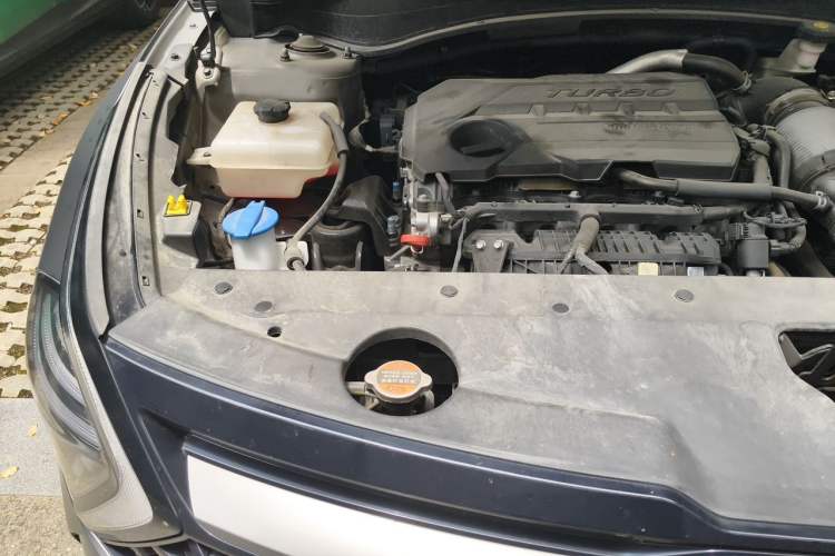 Used Kia Sportage (Chinese Domestic Model) 2023 2.0T Two-Wheel Drive Luxury Edition Engine Bay Right