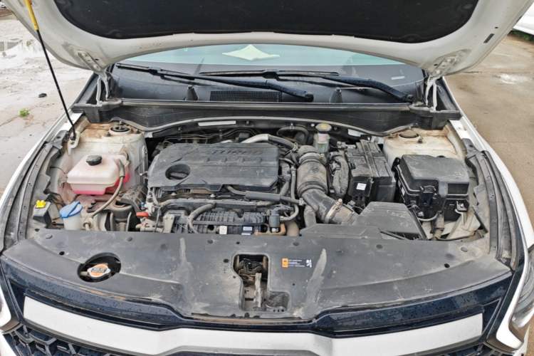 Used Kia Sportage (Chinese Domestic Model) 2023 2.0T Two-Wheel-Drive Prestige Edition Engine Bay