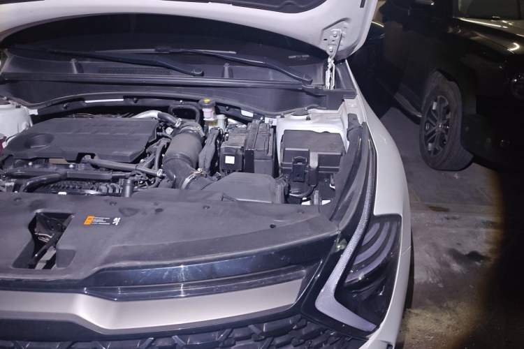 Used Kia Sportage (Chinese Domestic Model) 2023 2.0T Two-Wheel-Drive Prestige Edition Engine Bay Left