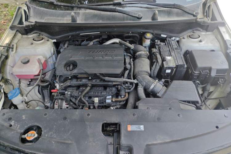 Used Kia Sportage (Chinese Domestic Model) 2023 2.0T Two-Wheel Drive Flagship Edition Engine Bay