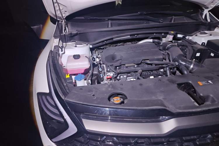 Used Kia Sportage (Chinese Domestic Model) 2023 2.0T Two-Wheel-Drive Prestige Edition Engine Bay Right