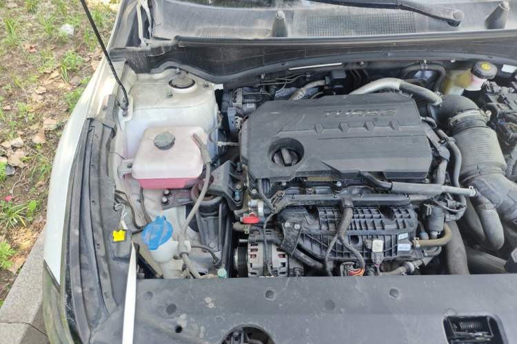 Used Kia Sportage (Chinese Domestic Model) 2023 2.0T Two-Wheel Drive Flagship Edition Engine Bay Right