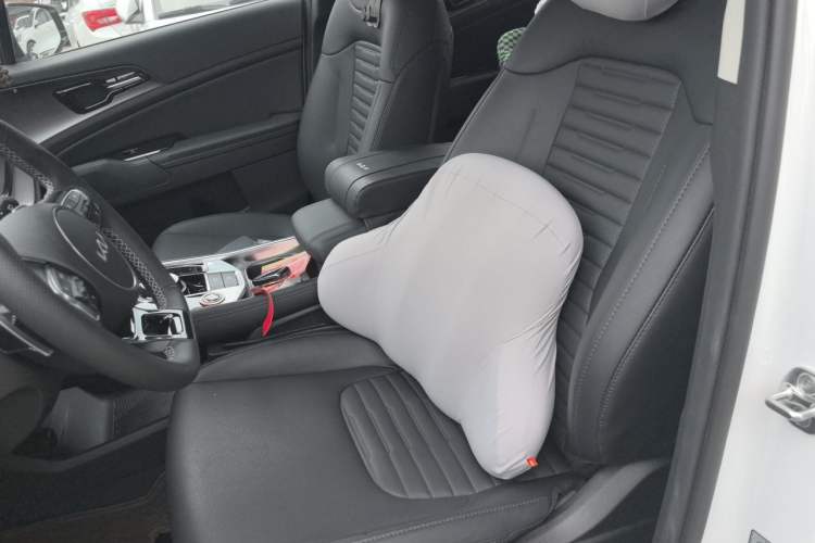 Used Kia Sportage (Chinese Domestic Model) 2023 2.0T Two-Wheel-Drive Prestige Edition Left Front Seat