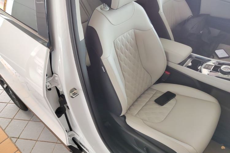 Used Kia Sportage (Chinese Domestic Model) 2023 2.0L HEV Two-Wheel Drive Flagship Edition Right Front Seat