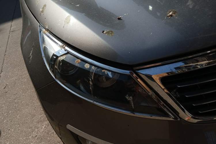 Used Kia Sportage R 2011 2.0L Automatic Two-Wheel Drive Premium Edition Right Front Headlight