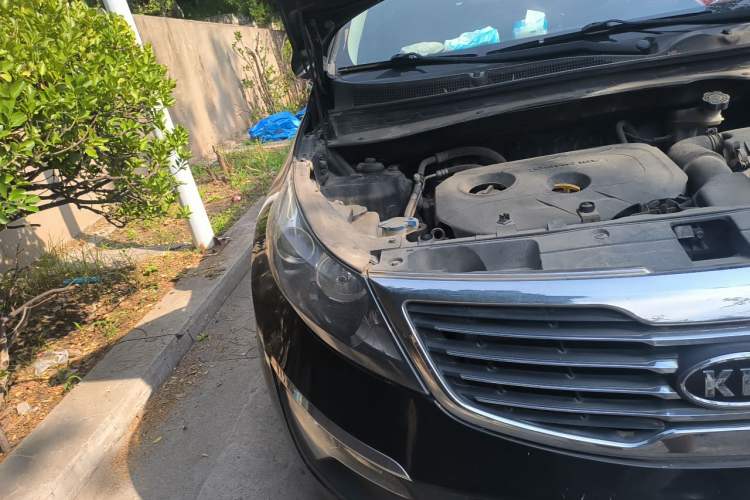 Used Kia Sportage R 2012 2.0L Automatic Two-Wheel Drive GLS Right Front Headlight