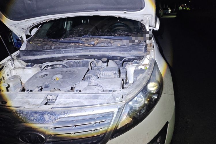 Used Kia Sportage R 2012 2.0L Automatic Two-Wheel Drive GLS Engine Bay Left