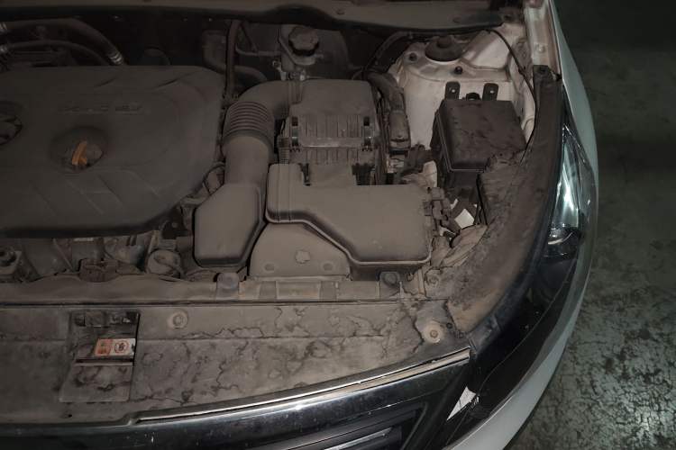 Used Kia Sportage R 2014 2.0L Automatic Two-Wheel Drive GLS Trim Engine Bay Left
