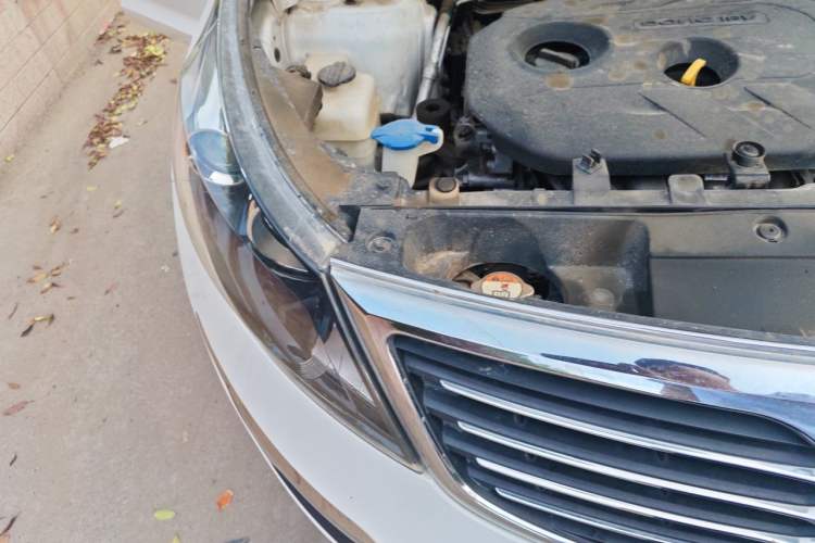 Used Kia Sportage R 2014 2.0L Automatic Two-Wheel Drive DLX Right Front Headlight