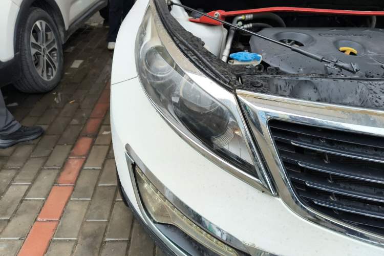 Used Kia Sportage R 2014 2.0L Automatic Two-Wheel Drive DLX Right Front Headlight