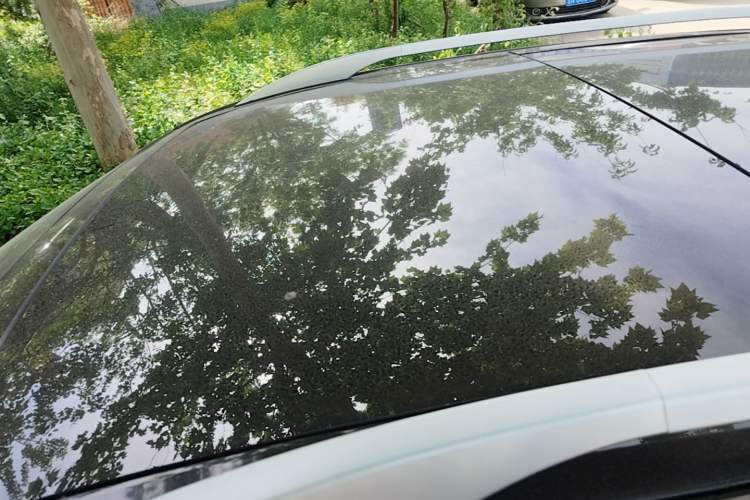 Used Kia Sportage R 2016 2.0L Automatic Two-Wheel Drive DLX Roof