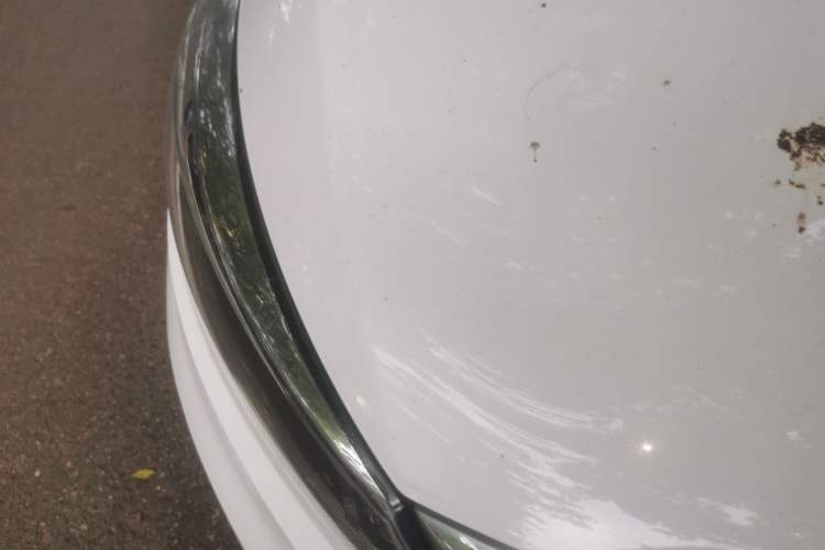 Used Kia Sportage R 2016 2.0L Manual Two-Wheel Drive GL Trim Right Front Headlight