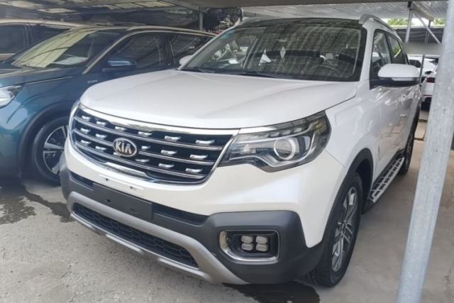 Kia Sportage R 2018 2.0L Automatic Smart Luxury Version China V Standard usata