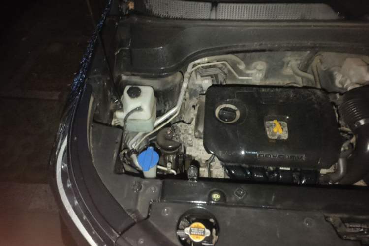Used Kia Sportage R 2019 2.0L Automatic Smart Luxury Edition Engine Bay Right