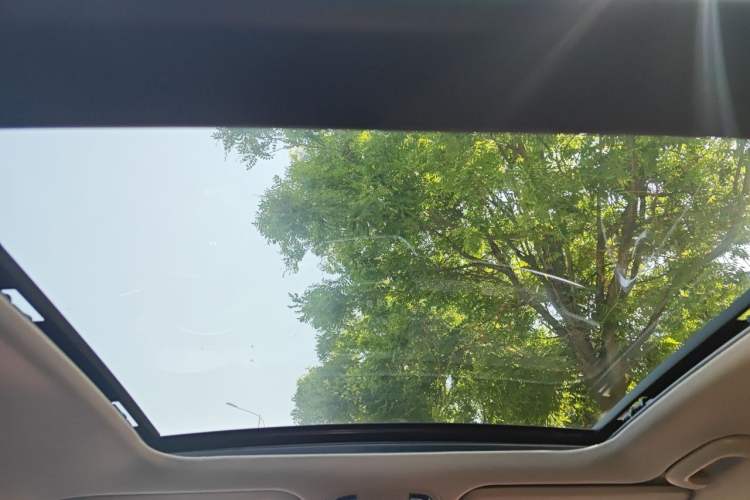Used Kia Sportage R 2019 2.0L Automatic Smart Luxury Edition Headliner