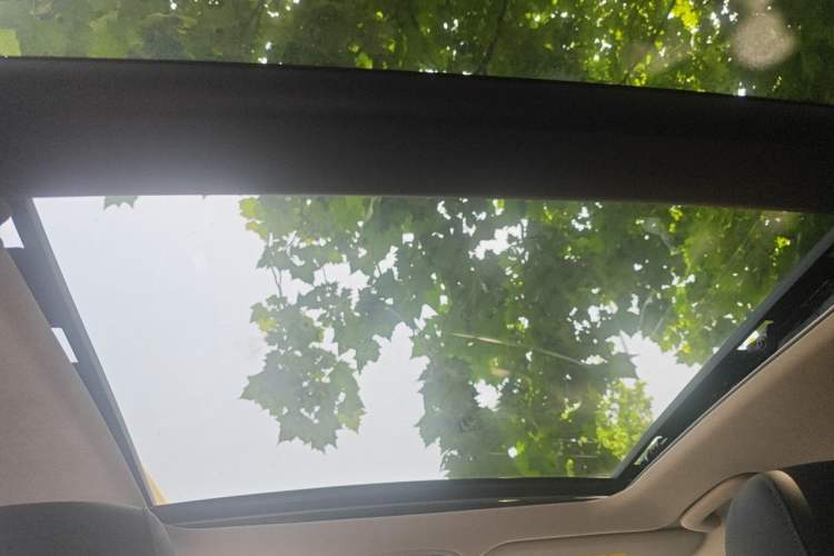 Used Kia Sportage R 2019 2.0L Automatic Smart Luxury Edition Headliner