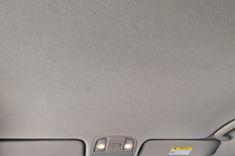 Used Kia Sportage R 2019 2.0L Manual Fashion Edition Headliner