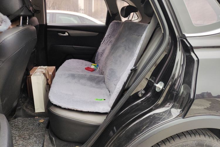 Used Kia Sportage R 2019 2.0L Automatic Smart Luxury Enhanced Edition Left Rear Seat