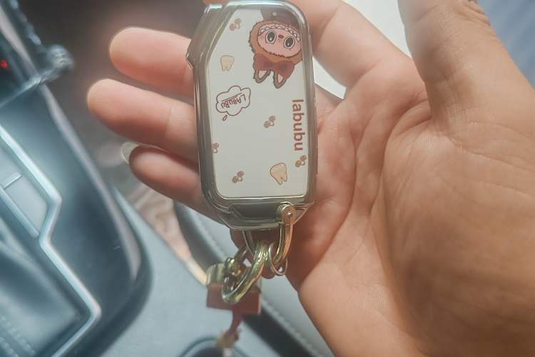 Used Kia Sportage R 2019 2.0L Automatic Smart Luxury Edition Vehicle Key