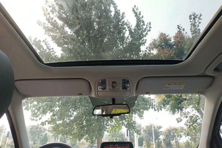 Used Kia Sportage R 2019 2.0L Automatic Smart Luxury Edition Headliner