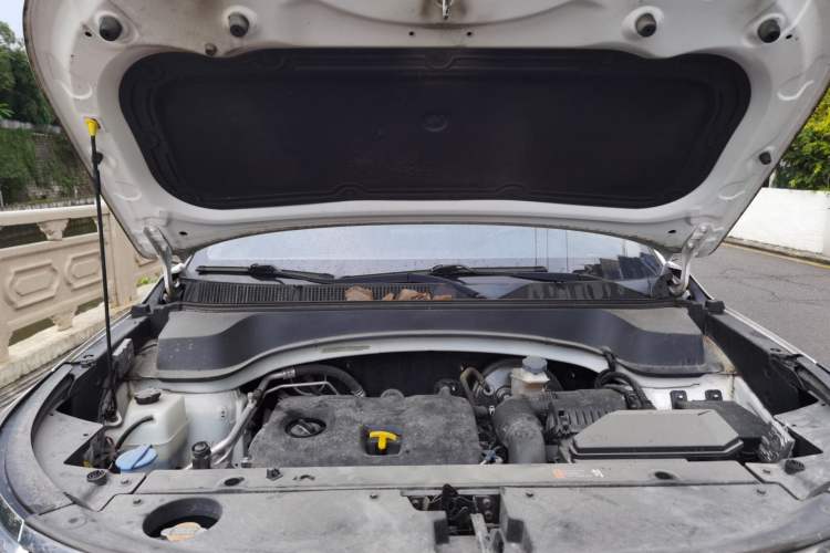 Used Kia Sportage R 2019 2.0L Automatic Smart Luxury Edition Engine Bay