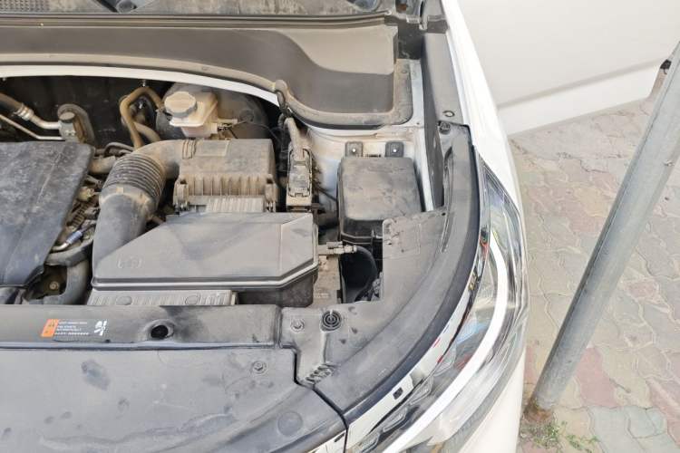 Used Kia Sportage R 2019 2.0L Automatic Smart Luxury Edition Engine Bay Left