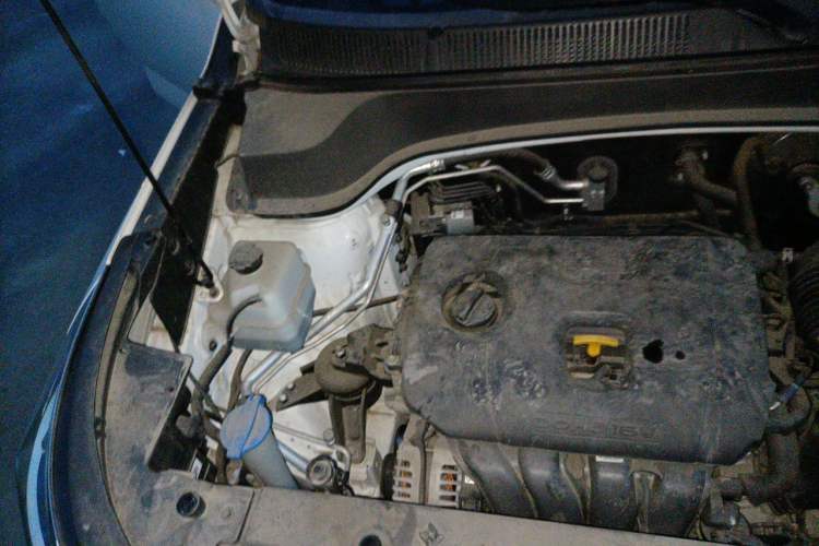 Used Kia Sportage R 2019 2.0L Automatic Smart Luxury Edition Engine Bay Right