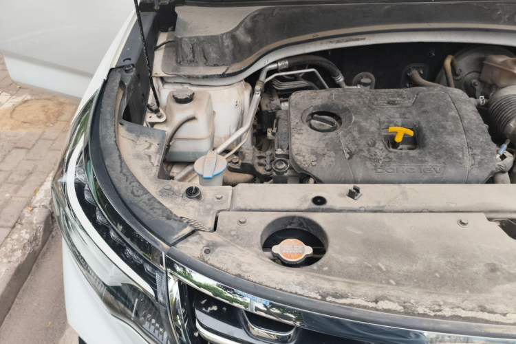 Used Kia Sportage R 2019 2.0L Automatic Smart Luxury Edition Engine Bay Right