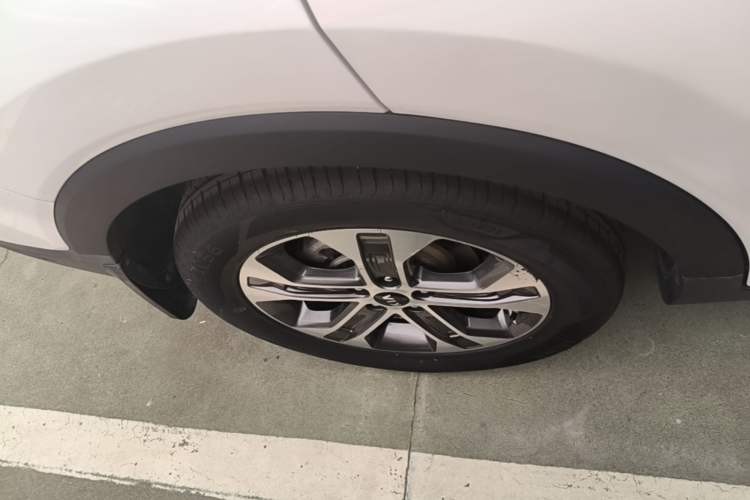 Used Kia Sportage R 2019 2.0L Automatic Smart Luxury Edition Exterior 5