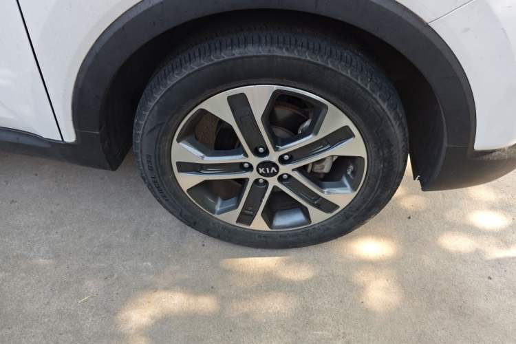 Used Kia Sportage R 2019 2.0L Automatic Smart Luxury Edition Exterior 7