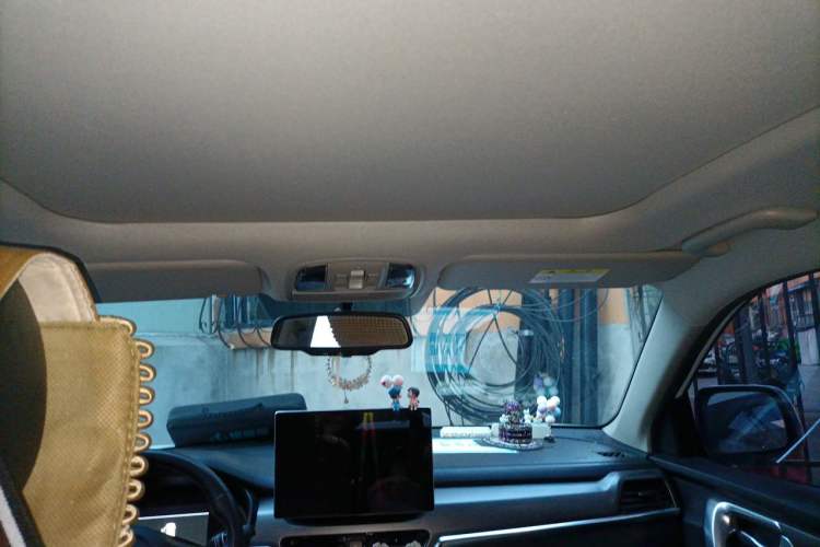 Used Kia Sportage R 2019 2.0L Automatic Smart Luxury Edition Headliner