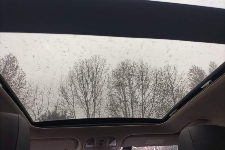 Used Kia Sportage R 2019 2.0L Automatic Smart Luxury Edition Headliner