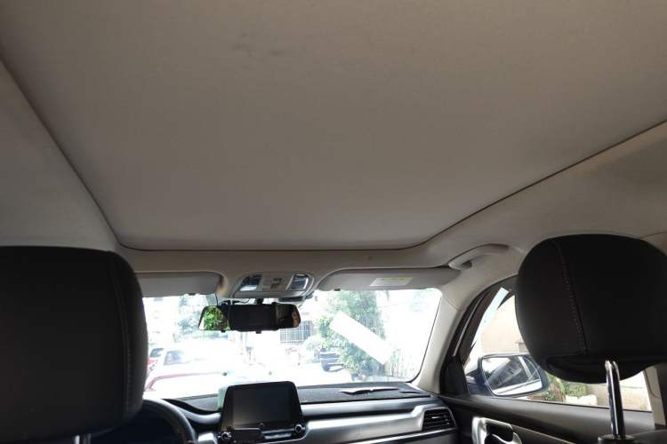 Used Kia Sportage R 2019 2.0L Automatic Smart Luxury Edition Headliner