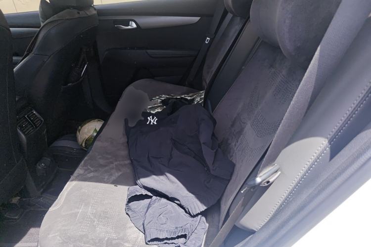 Used Kia Sportage R 2019 2.0L Automatic Smart Luxury Enhanced Edition Left Rear Seat