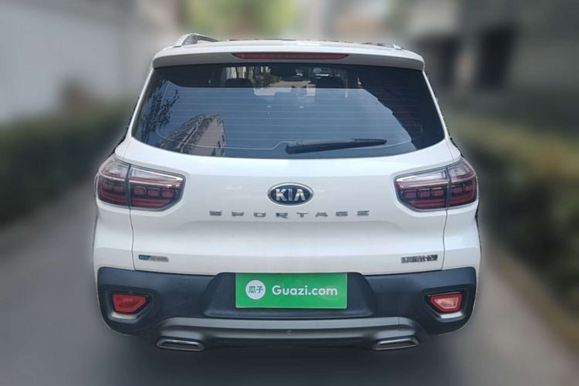 Used Kia Sportage R 2019 2.0L Automatic Smart Luxury Edition Rear