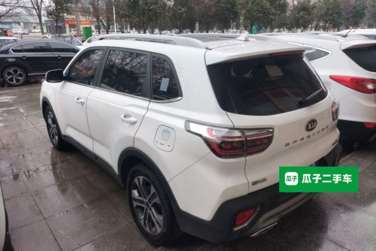 Used Kia Sportage R 2019 2.0L Automatic Smart Luxury Edition Rear Left 45 Deg
