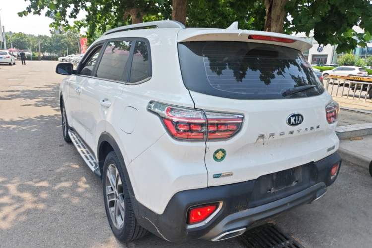 Used Kia Sportage R 2019 2.0L Automatic Smart Luxury Edition Rear Left 45 Deg