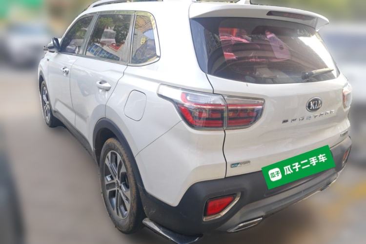 Used Kia Sportage R 2019 2.0L Automatic Smart Luxury Edition Rear Left 45 Deg