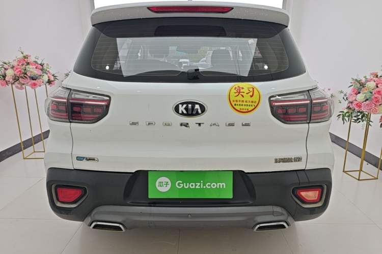 Used Kia Sportage R 2019 2.0L Automatic Smart Luxury Edition Rear